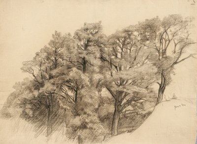 Landskap med trær, 1884 (kull på brunfarget papir) av Samuel Isham