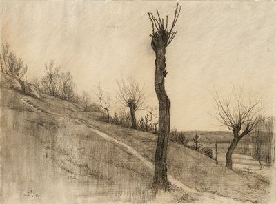 Senvinterlandskap, 1884 (kull på brunfarget papir) av Samuel Isham