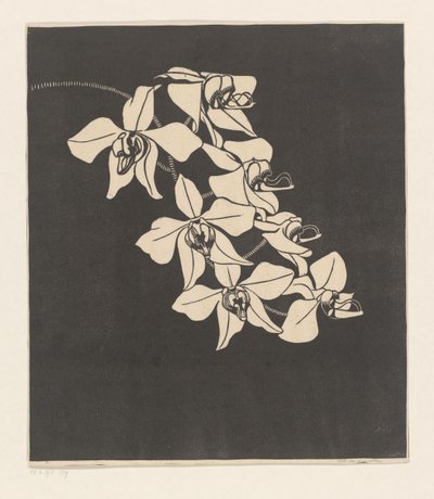 Orkideer av Samuel Jessurun de Mesquita (signed by artist)