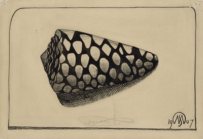 Shell, til høyre av Samuel Jessurun de Mesquita