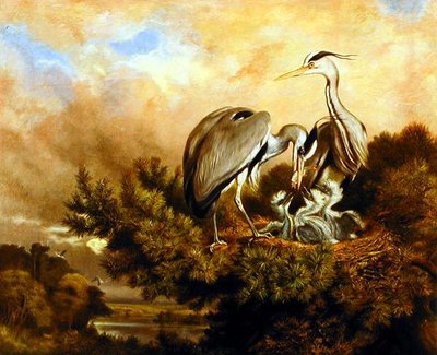 Hegre som mater ungene sine i et furutre av Samuel John Carter