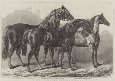 Premiehester på Royal Agricultural Society