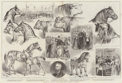 Skisser på Royal Agricultural Societys møte i Norwich av Samuel John Carter