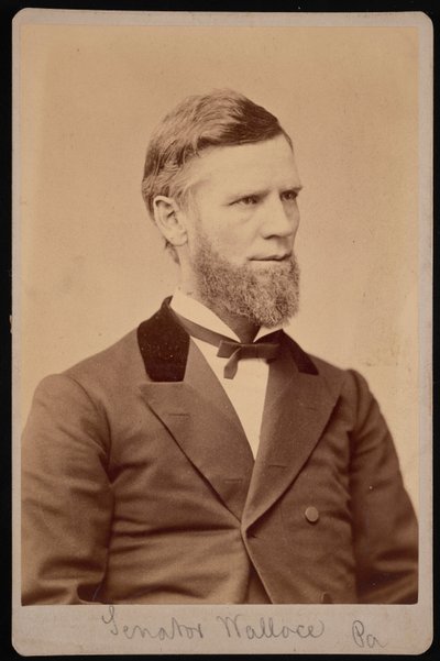 Portrett av William Andrew Wallace 1827-1896, mellom 1876 og 1880. av Samuel Montague Fassett