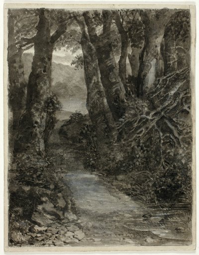 En skogstudie av Samuel Palmer