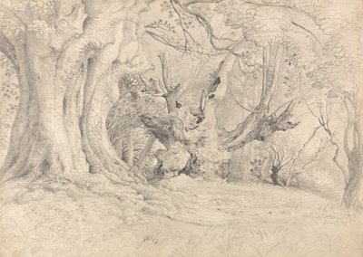 Gamle trær, Lullingstone Park av Samuel Palmer