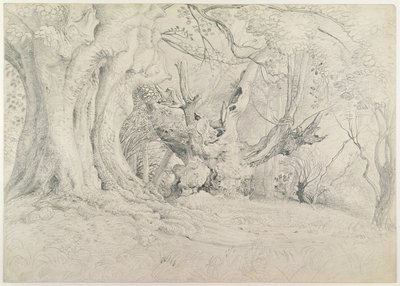 Ancient Trees, Lullingstone Park, 1828 (grafitt på papir) av Samuel Palmer