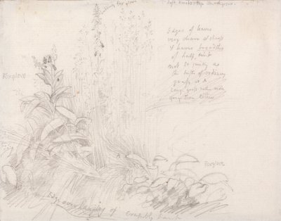 Revehansker av Samuel Palmer