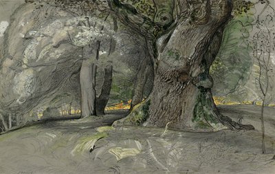 Eiketre og bøk, Lullingstone Park av Samuel Palmer