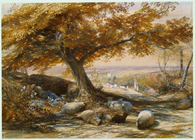 Sau i skyggen, ca. 1851 av Samuel Palmer