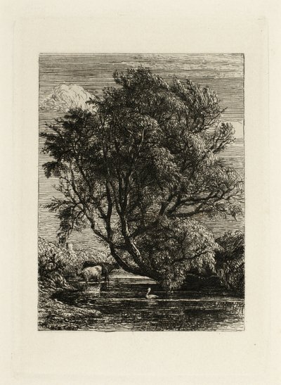 Willow av Samuel Palmer