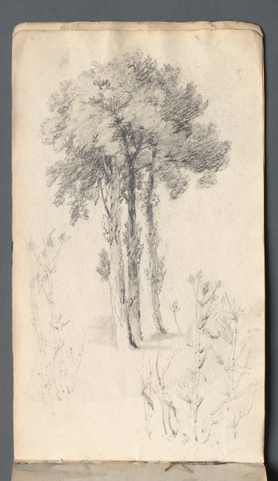 Skissebok: Trestudie, 1814. av Samuel Prout