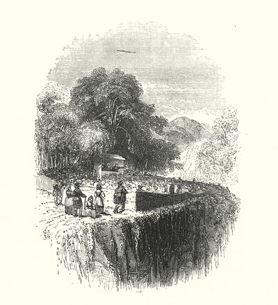  av Samuel Williams