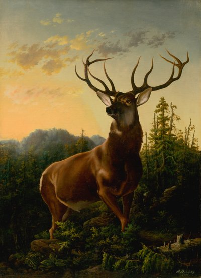 Hjort i skogslandskap, 1876. av Sandor Brodszky