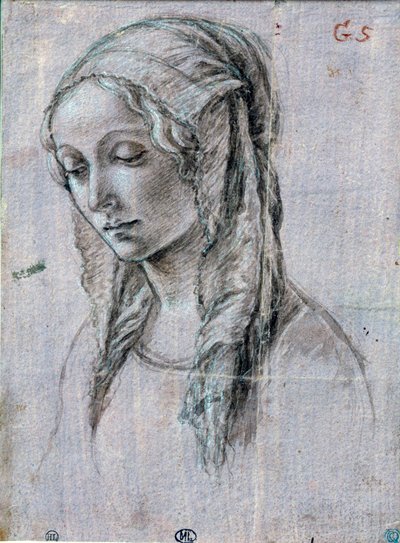 Ung kvinnes hode”” Penseltegning og hvite klaffer tilskriver Alessandro di Mariano dei Filipepi dit Sandro Botticelli (1445-1510) Paris fra 1400-tallet, Louvre-museet av Sandro (attr. to) Botticelli