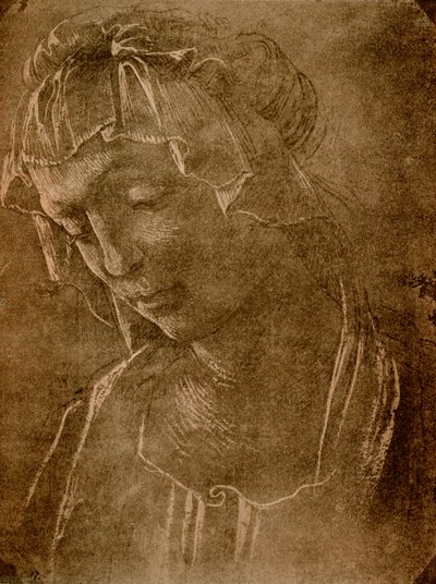Kvinnelig hode av Sandro Botticelli