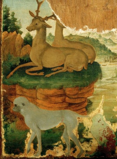 Landskap med rognkjeks og aper av Sandro Botticelli