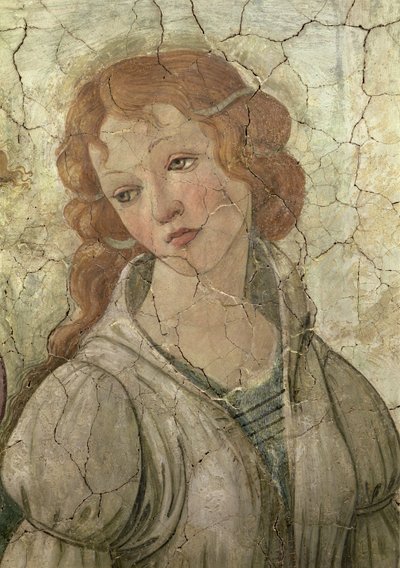 Venus and the Three Graces tilbyr gaver til en ung jente, detalj av en av Graces freskedetaljene fra 33760, se også 93891, 93893-4 av Sandro Botticelli