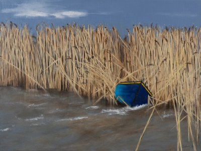  av Sandy Iseli