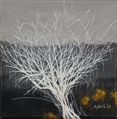  av Sandy Iseli