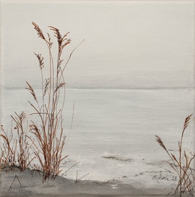  av Sandy Iseli