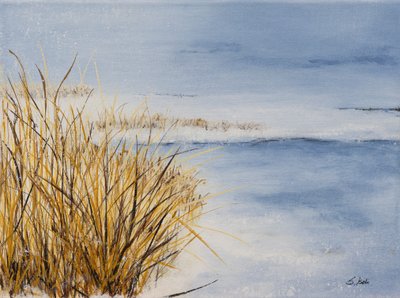  av Sandy Iseli