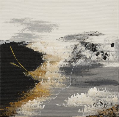  av Sandy Iseli