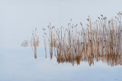  av Sandy Iseli