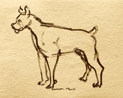 Skisse av en bokserhund av Santhosh ch