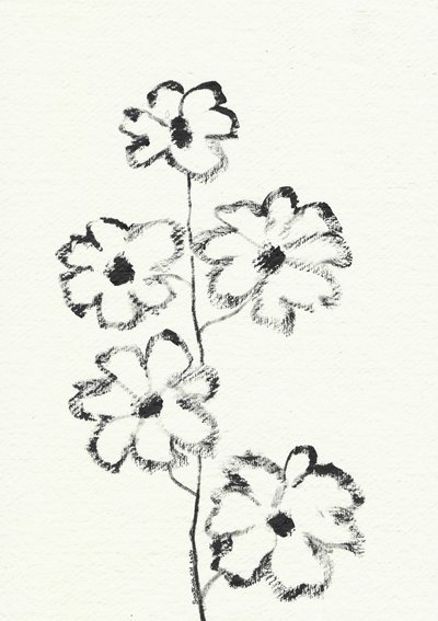 Blomsterskisse med kull av Santhosh ch