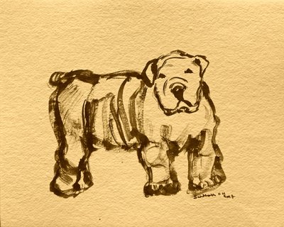 Uttrykksfull bulldogskisse av Santhosh ch
