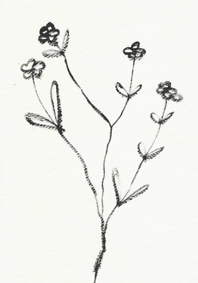 Minimalistisk botanisk tegning av Santhosh ch