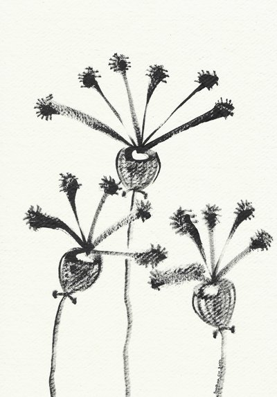 Minimalistisk botanisk tegning av Santhosh ch