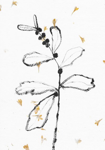 Minimalistisk botanisk skisse av Santhosh ch