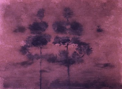 Tåkete lilla skog av Santhosh ch