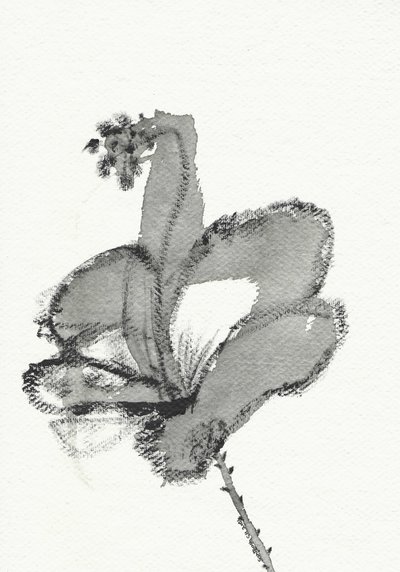 Monokrom blomsterstudie av Santhosh ch