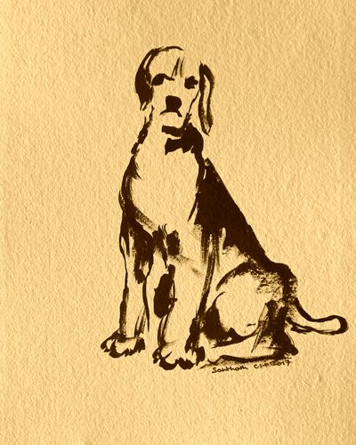 Skisse av en sittende beagle av Santhosh ch