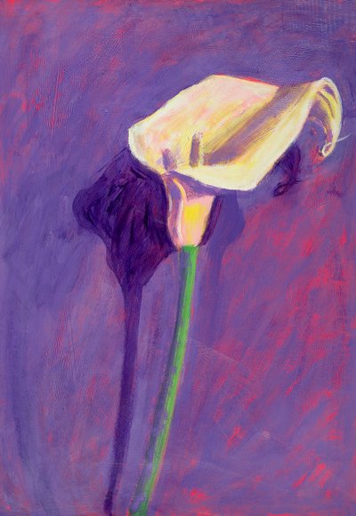 Arumlilje (olje på kartong) av Sara Hayward