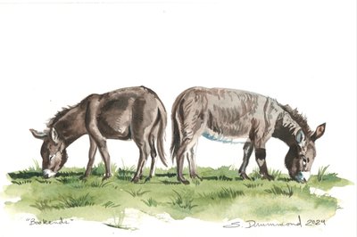  av Sarah Drummond