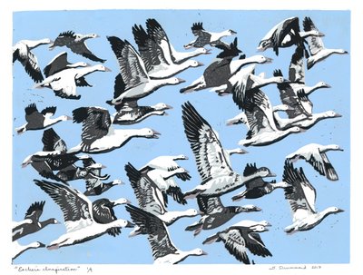  av Sarah Drummond