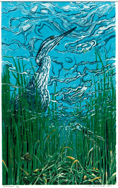  av Sarah Drummond