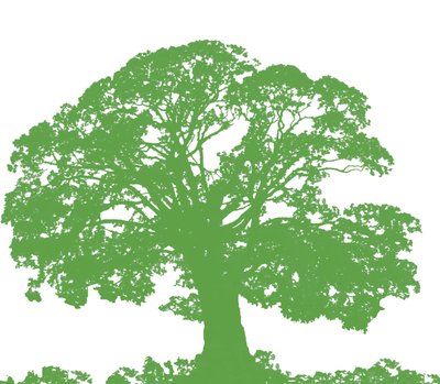 Climbing Tree, 2009 (digital) av Sarah Hough