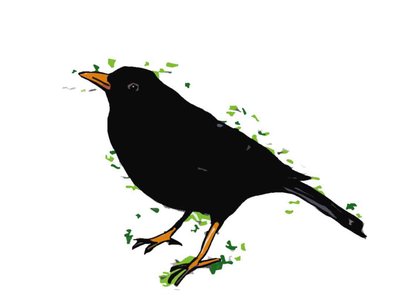 Blackbird, 2018, (digital tegning) av Sarah Thompson Engels