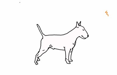 Bull terrier, 2018, (digital tegning) av Sarah Thompson Engels