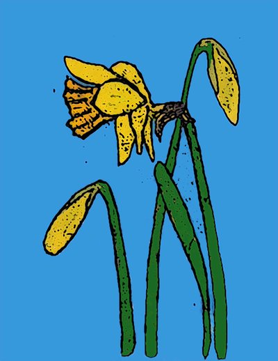 Påskeliljer, 2015 (monoprint med blekk) av Sarah Thompson Engels