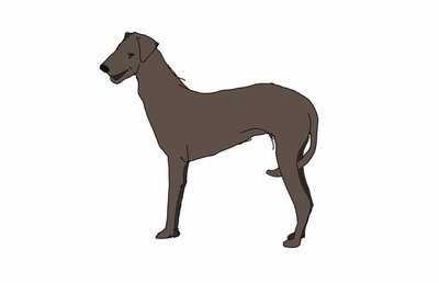 Hound, 2018, (digital tegning) av Sarah Thompson Engels