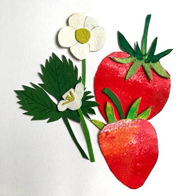 Jordbær, 2019 (collage) av Sarah Thompson Engels