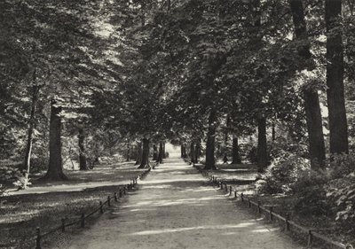 Berlin: Tiergarten (s/hvitt bilde) av Sasha Stone