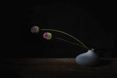  av Saskia Dingemans