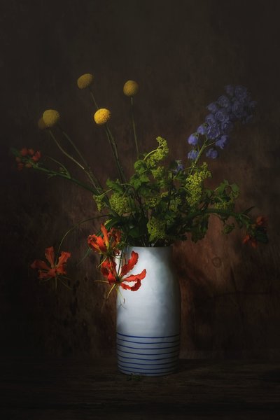  av Saskia Dingemans